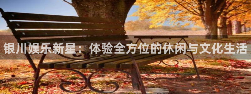 领航国际美业：银川娱乐新星：体验全方位的休闲与文化生活