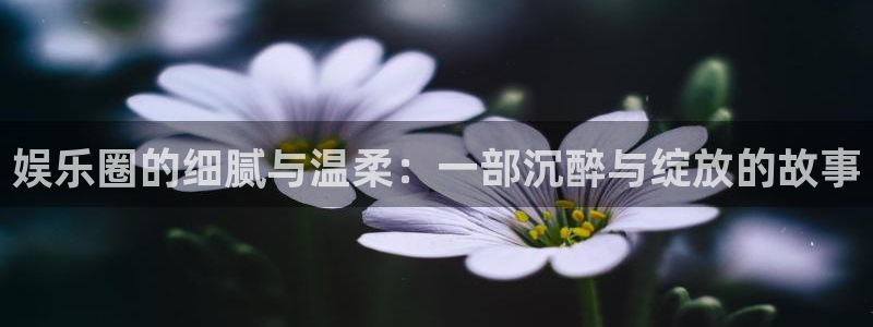 领航国际地址：娱乐圈的细腻与温柔：一部沉醉与绽放的故事
