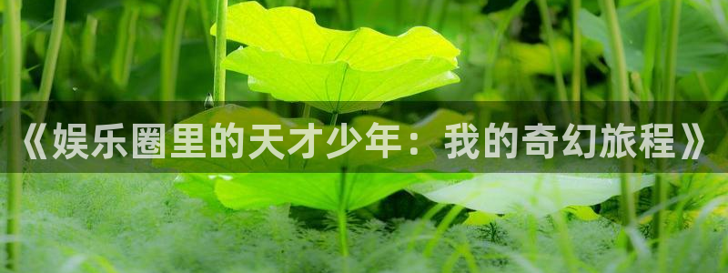 辉达官网首页登录入口：《娱乐圈里的天才少年：我的奇幻旅程》